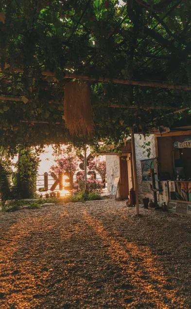 Butterfly Valley Seaside Glamping - Image 1