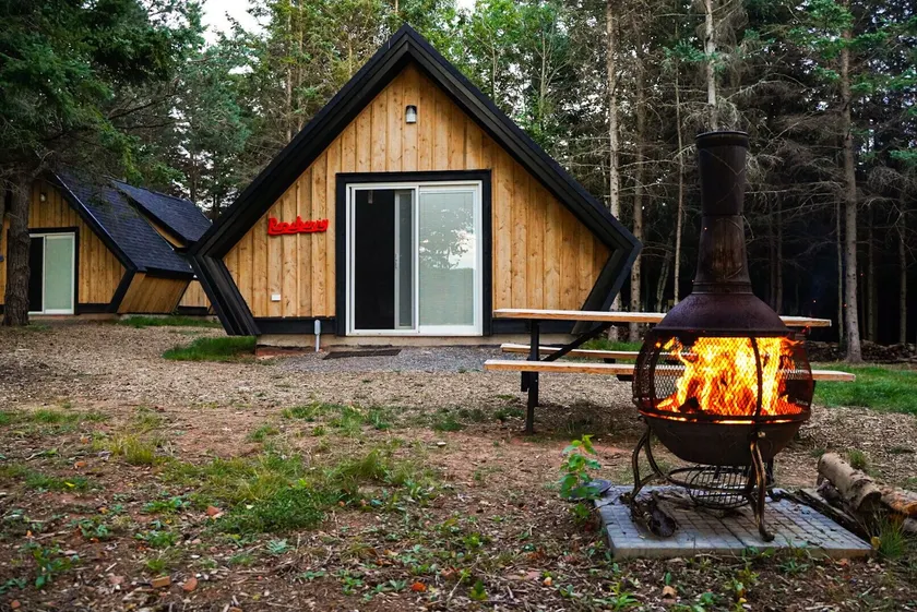 Wild Pines Cabins - Image 1