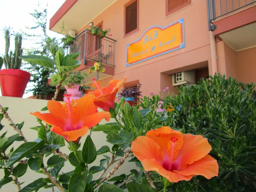 Felicidad Siempre B&B - Image 1