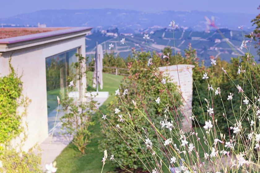 Tenuta Bricchi - Image 1