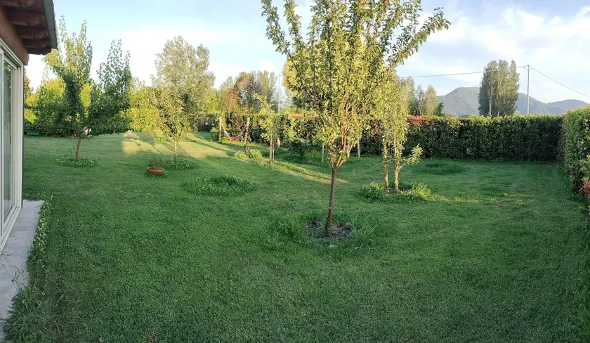B&B La Rosa Nel Verde - Image 1