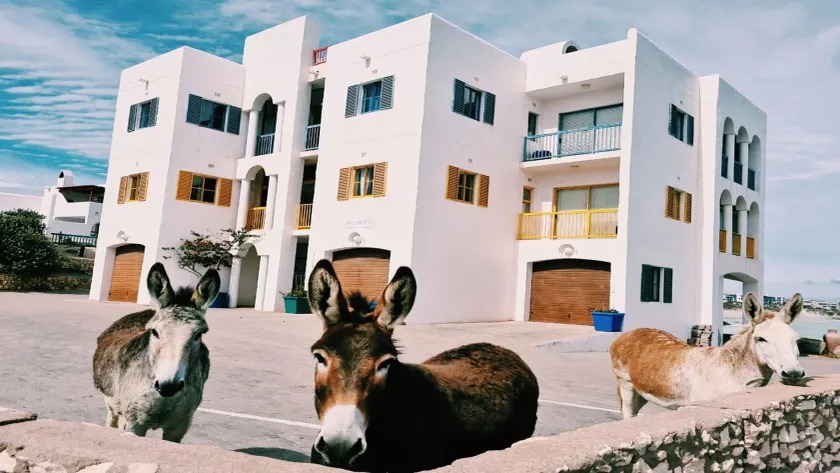 Raaswater Langebaan Self Catering - Image 1
