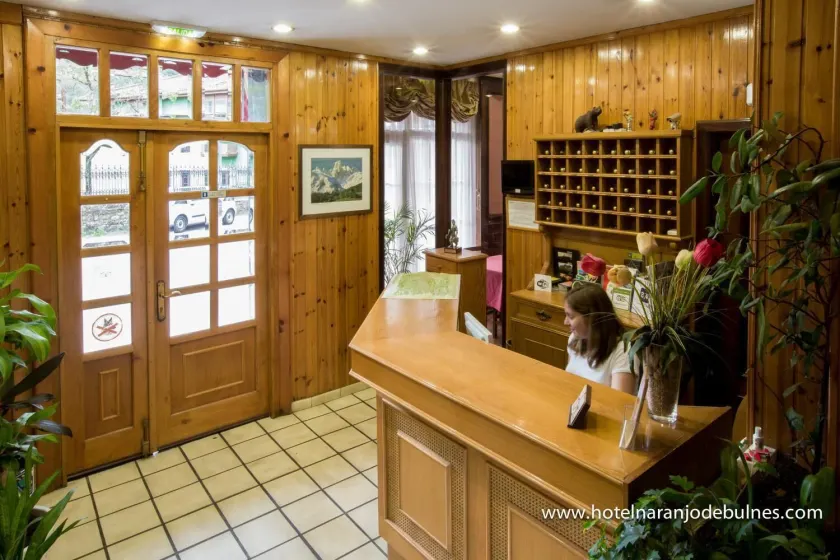 Hotel Naranjo De Bulnes - Hall
