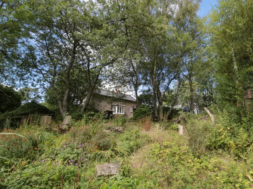 West Burnbank - Image 1