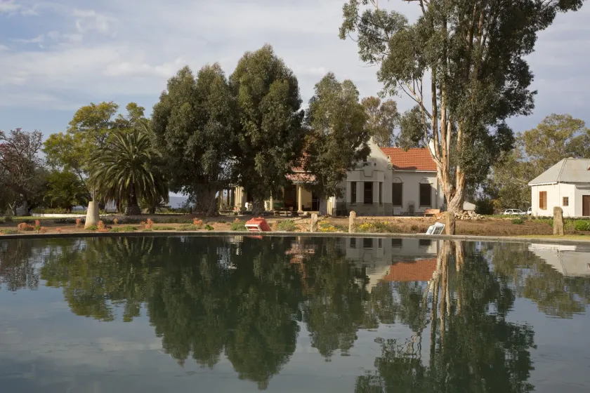 Rietfontein Ostrich Palace - Image 1