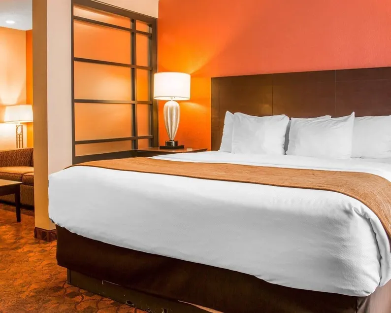 Comfort Inn & Suites and Conference Center - Image 1