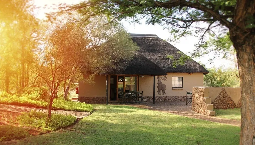 Ukutula Lion Lodge - Image 1