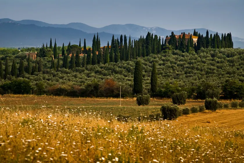 Tenuta di Poggio Cavallo - Image 1