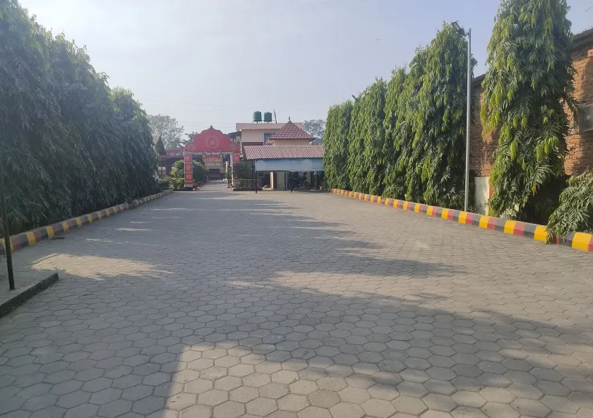 Rose guest house - Image 1