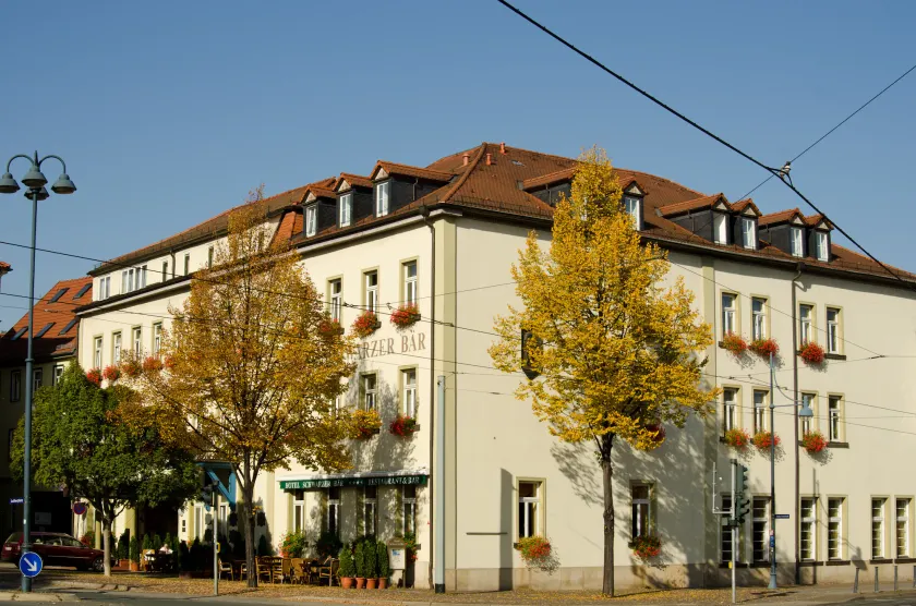 Schwarzer Bär Jena - Image 1