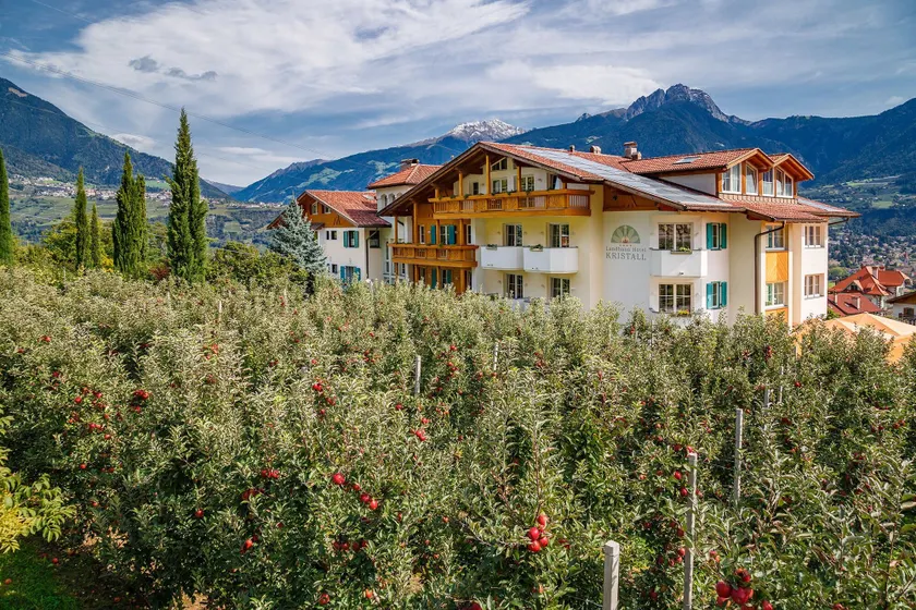 Landhaus Hotel Kristall - Image 1