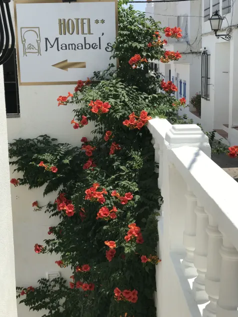 Boutique Hotel Mamabels - Image 1