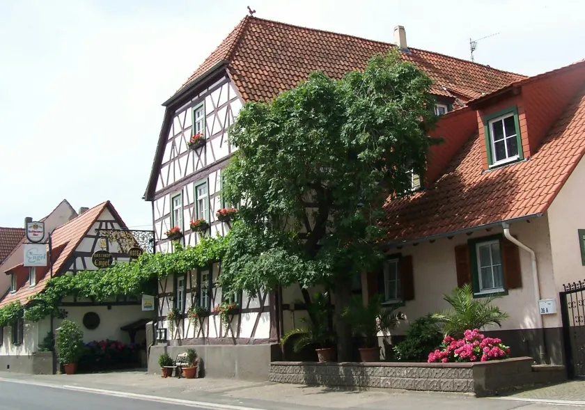 Hotel Restaurant Zum Engel - Image 1