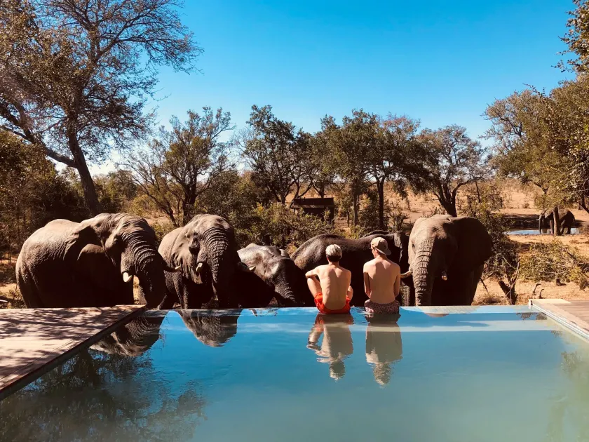 Honeyguide Tented Safari Camp - Khoka Moya - Image 1