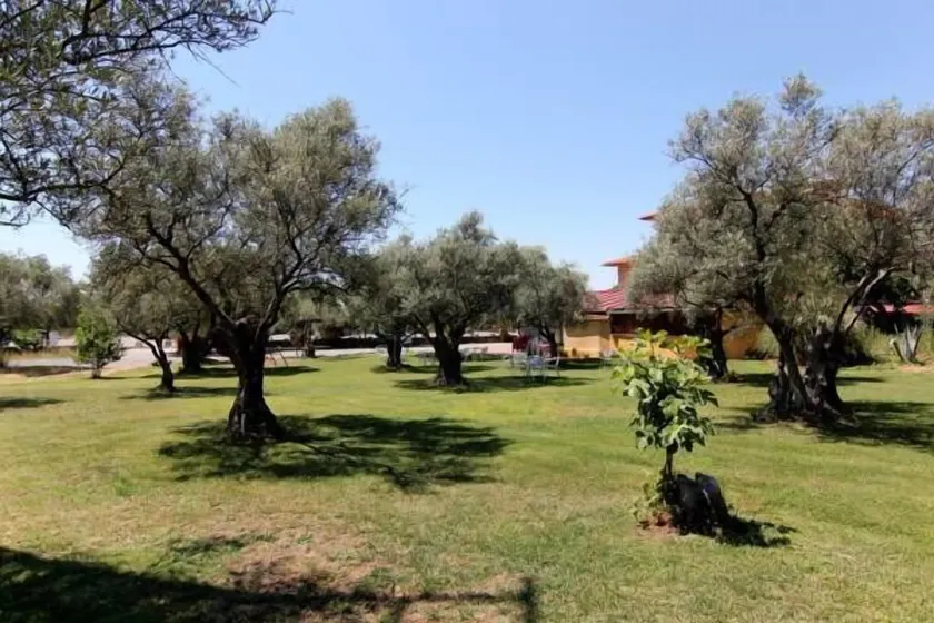 Hotel Rural Hojaranzos - Image 1