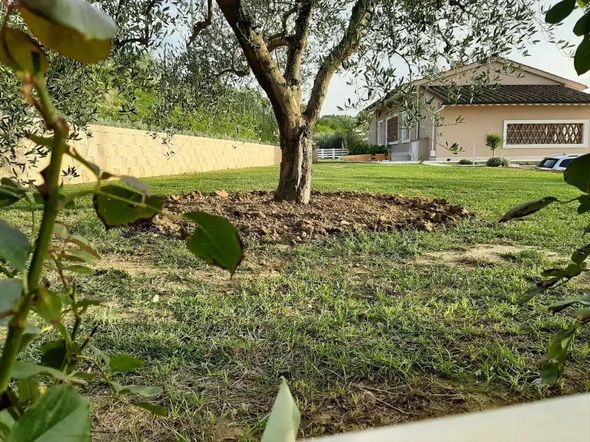 LE MAMMOLE - Image 1