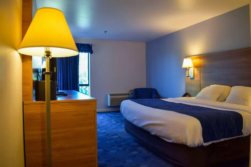 Comfort Inn Bellingham - Image 1
