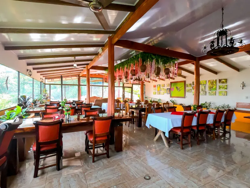 Hotel y Puentes Colgantes Heliconias Rainforest Lodge - Lobby