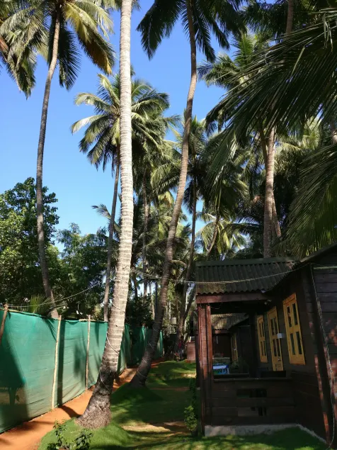 The Cool Huts - Image 1