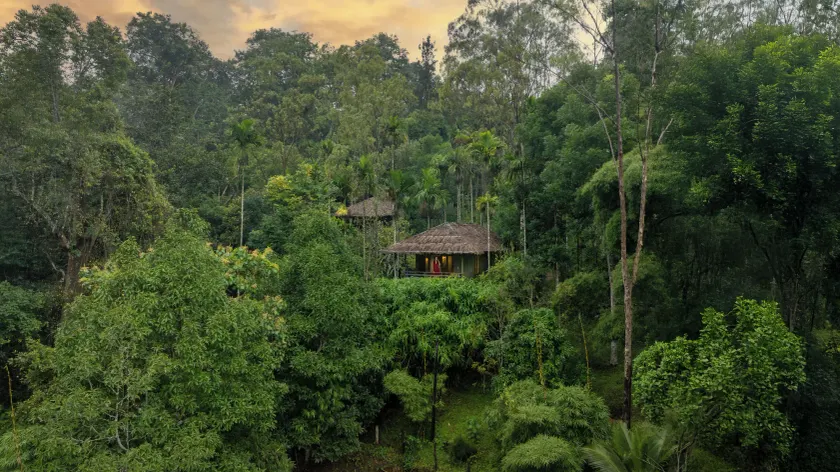 The Woods Resorts Wayanad - Image 1
