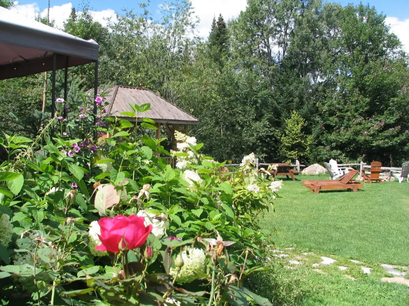 Chalets et Studios Le Vent Du Nord - Image 1