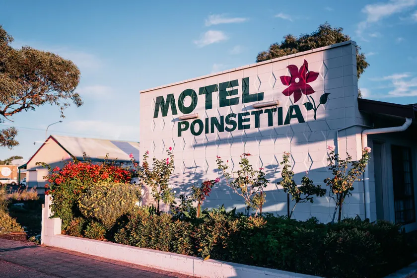 Motel Poinsettia - Image 1