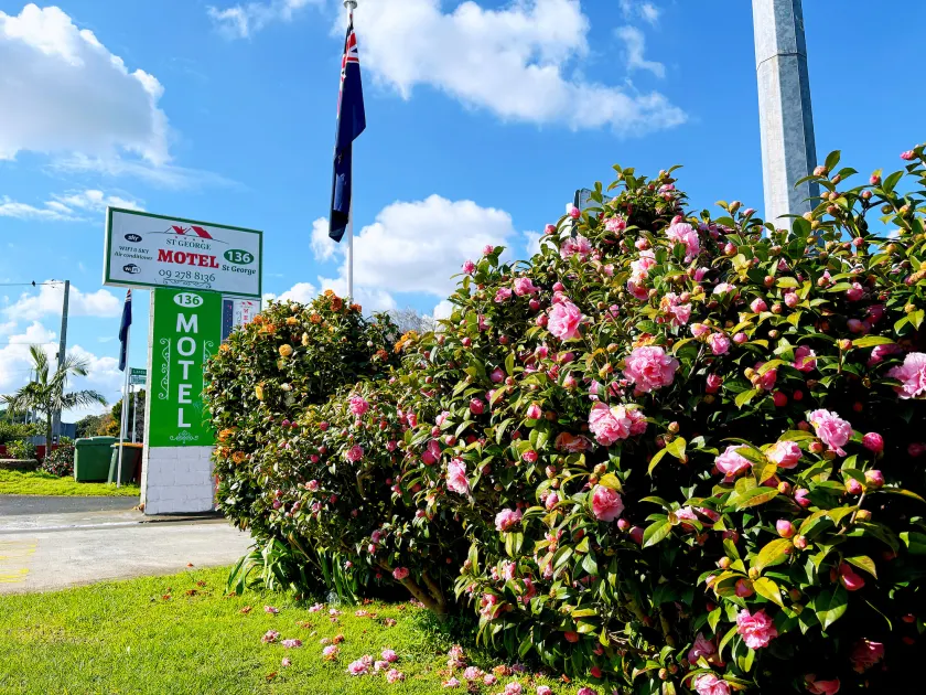 136 St George Motel - Image 1