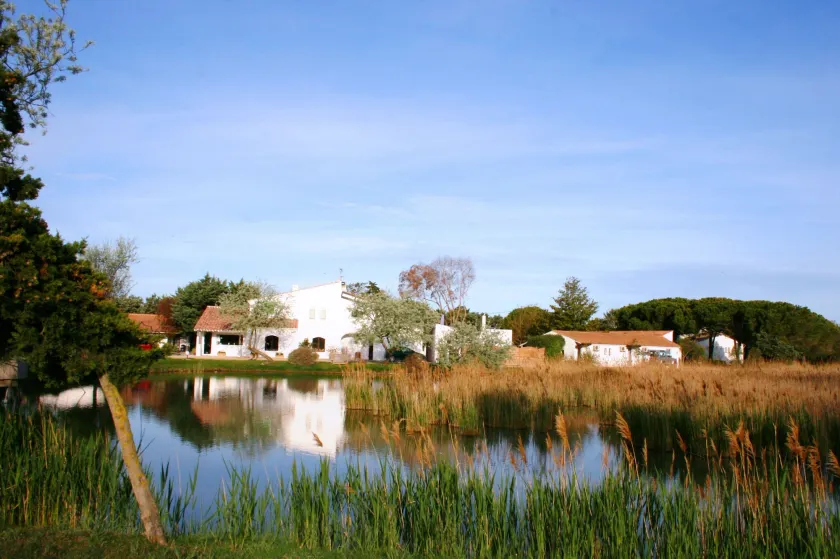 Hôtel Les Rizières, Saintes-Maries-de-la-Mer - Image 1