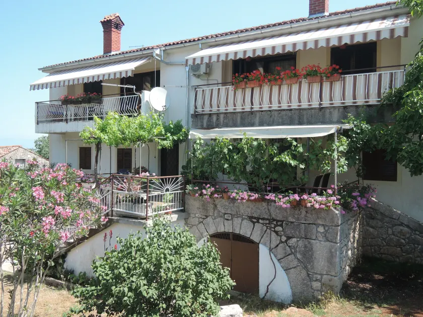 Apartment Grapes - Image 1