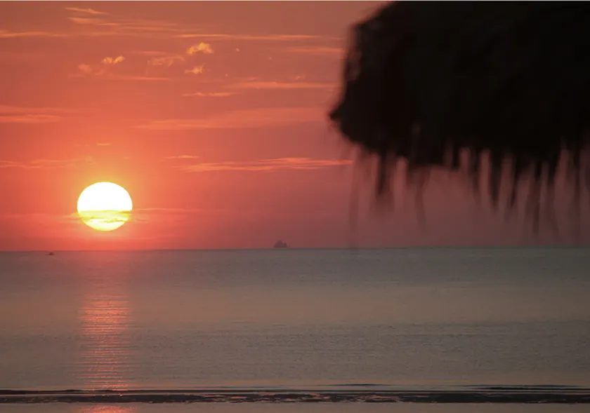Stella del Mar - Image 1