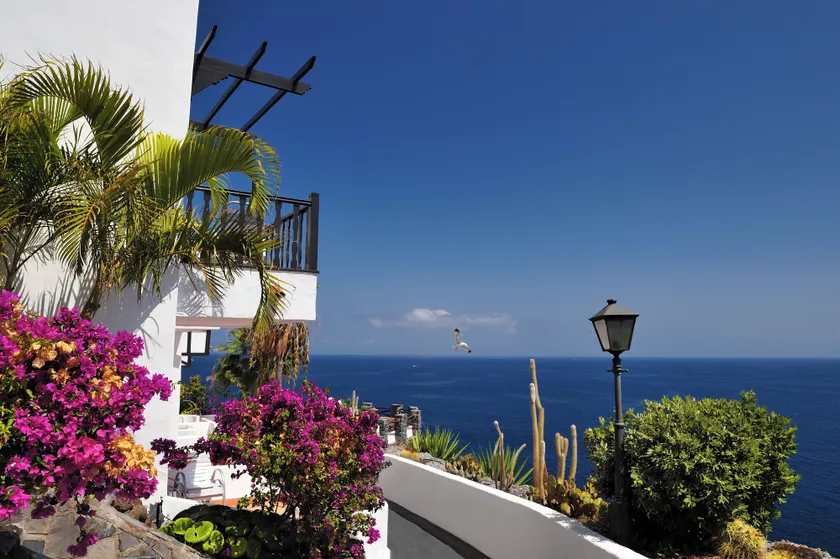 Hotel Jardín Tecina - Image 1