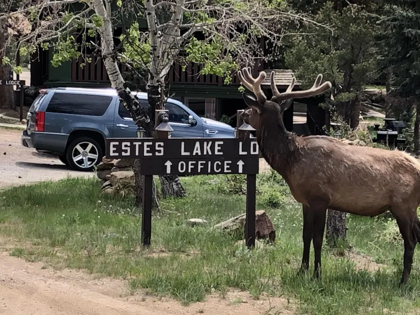 Estes Lake Lodge - Image 1