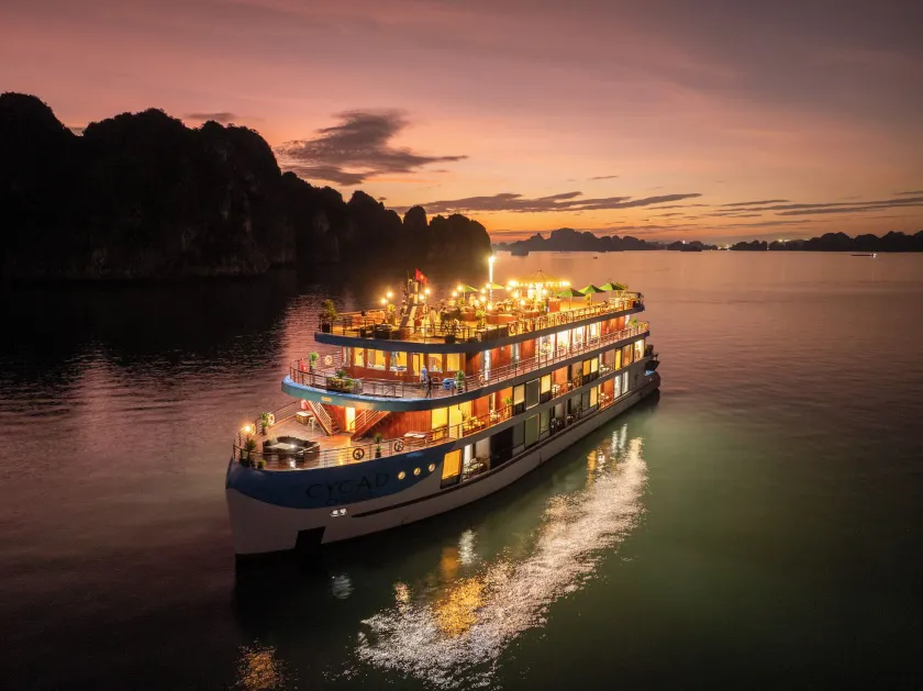 Cycad Grand Cruise - Image 1