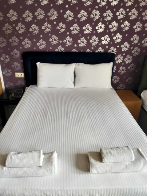 Otel Safran Palas - Image 1