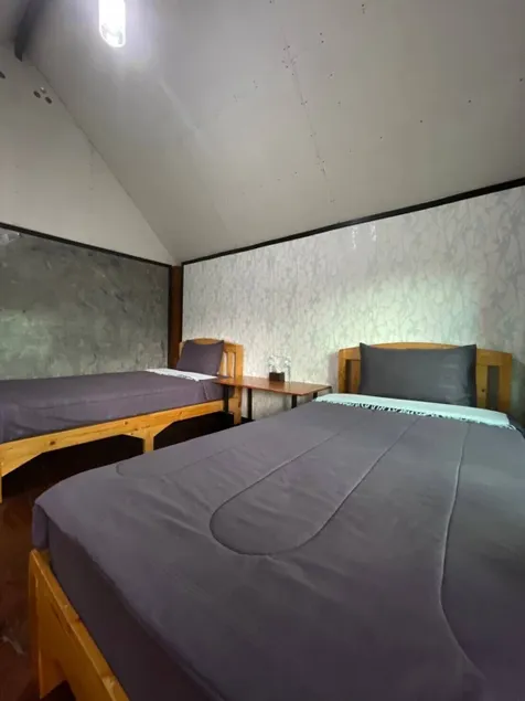 Jungle guest house - Chambre
