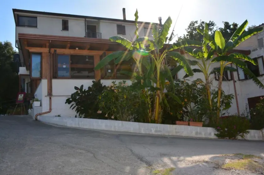 Il Moro della Molpa - Image 1