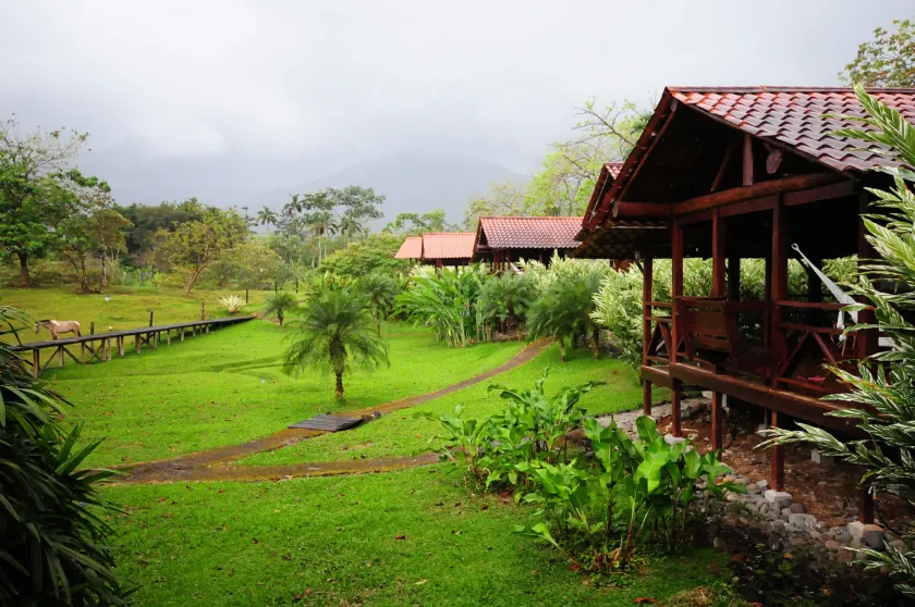 La Anita Rain Forest - Image 1