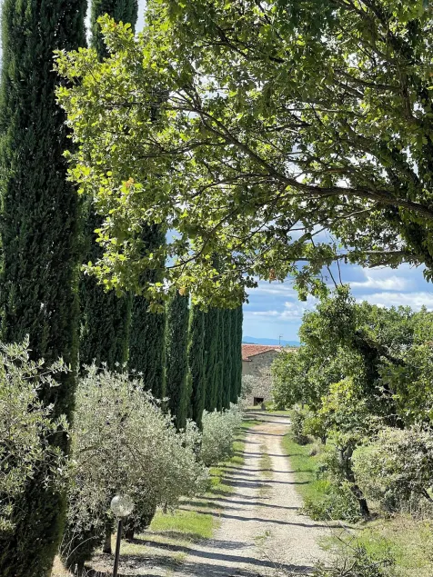 Agriturismo Melodie Toscane Sorano - Image 1