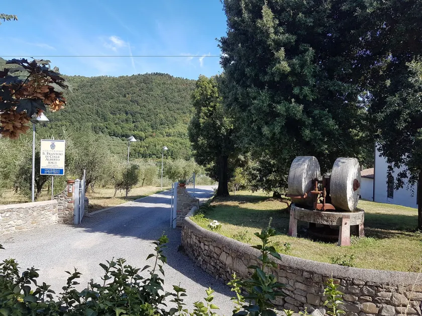 Agriturismo Il Frantoio Di Colle Alberto - Image 1