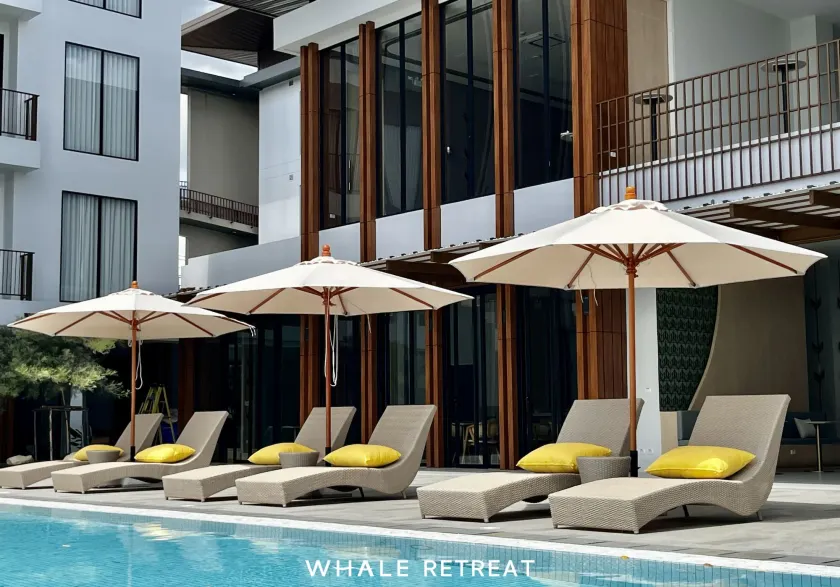 Whale Retreat Destination - Image 1