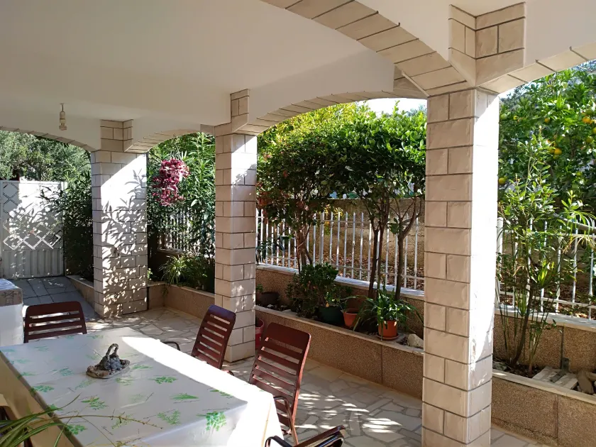 21 Kosinac GREEN PARADISE - Image 1