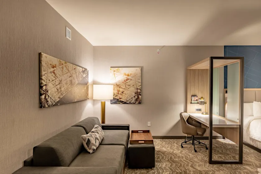SpringHill Suites by Marriott Dallas McKinney - Image 1