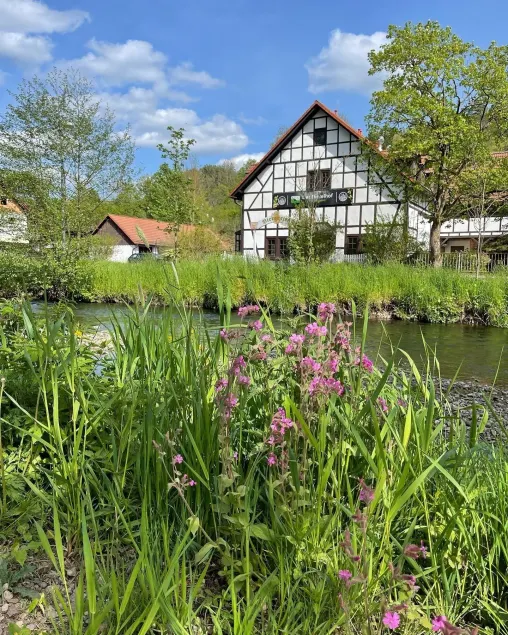 Hotel Der Distelhof - ihr Land- und Tagungshotel zwischen Rennsteig, Rhön & Werratal - Image 1