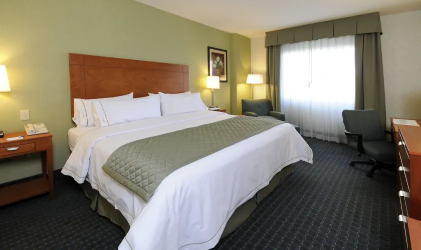 Holiday Inn Express & Suites Toluca Zona Aeropuerto by IHG - Image 1