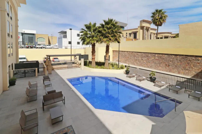 Hampton by Hilton Chihuahua - Image 1