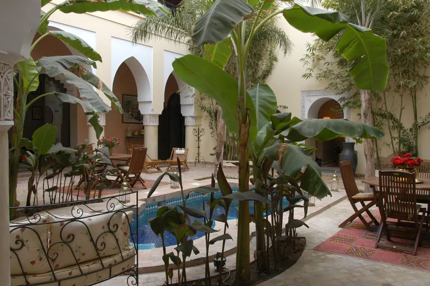 Riad Nabila - Image 1