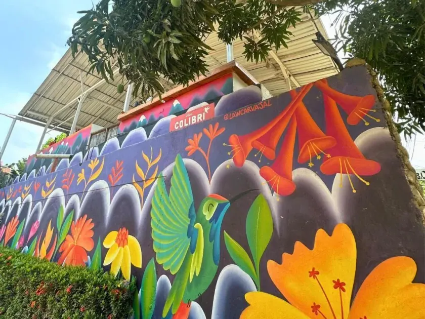 Casa Colibri Palomino - Image 1