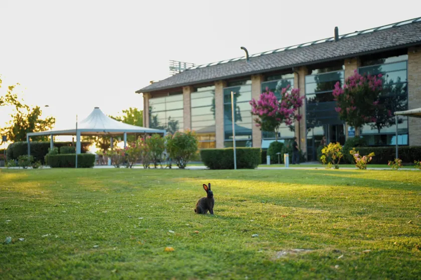 Best Western Hotel Green City - Image 1