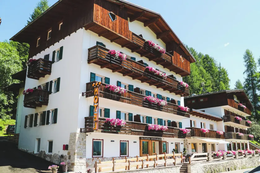 Hotel Des Alpes - Image 1