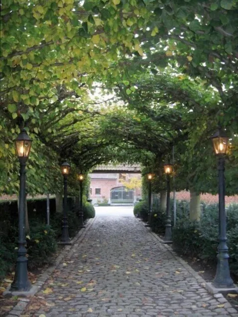 B&B Hof te Spieringen - Image 1